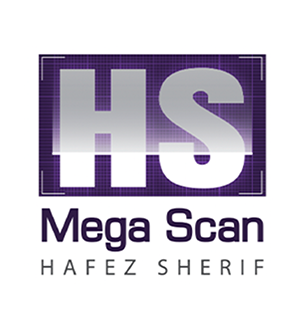mega scan